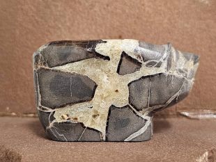 Zuni Carved Bear Fetish
