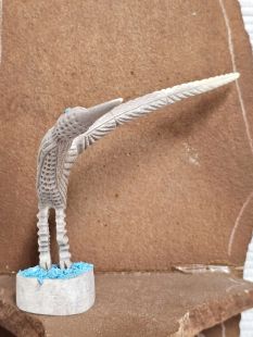 Zuni Carved Roadrunner Fetish