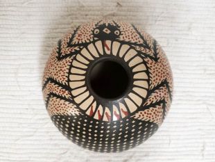 Mata Ortiz Handbuilt and Handpainted Pot with a Spider