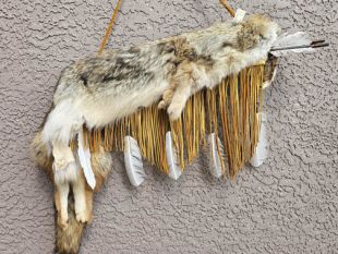 Native American Made Coyote Quiver with Arrows