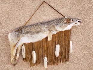 Native American Made Coyote Quiver with Arrows