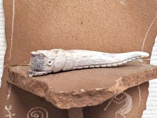 Zuni Carved Water Serpent