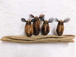 Mahogany Pod Owls on Wood--Four