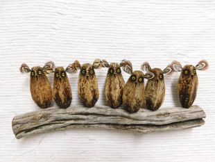 Mahogany Pod Owls on Wood--Seven