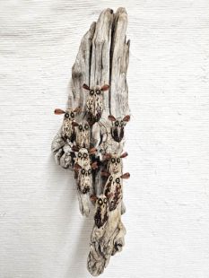Mahogany Pod Owls on Wood--Nine