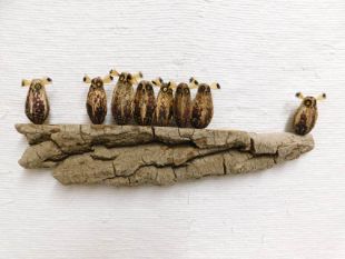 Mahogany Pod Owls on Wood--Eight