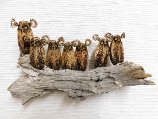 Mahogany Pod Owls on Wood--Seven