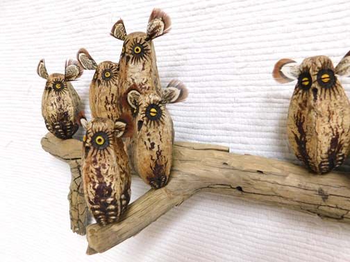 Mahogany Pod Owls on Wood at Kachina House
