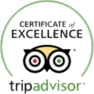 Trip Advisor
