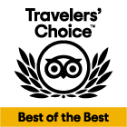 Trip Advisor Logo