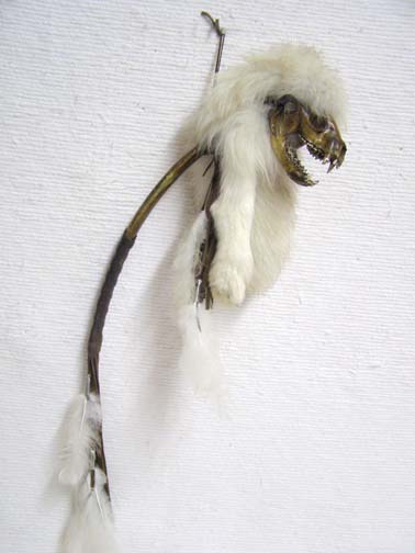 Native American Made Badger Ceremonial Talking Stick Native American Badger Talking Stick